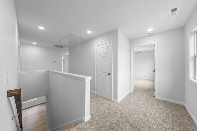 hallway with carpet floors