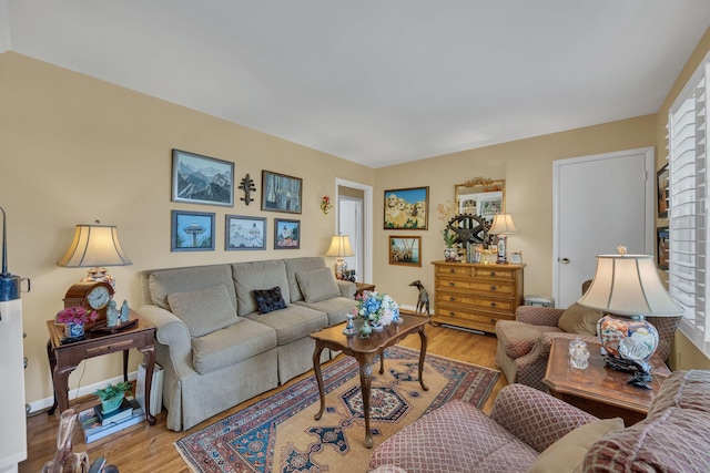 living room with light wood-type flooring