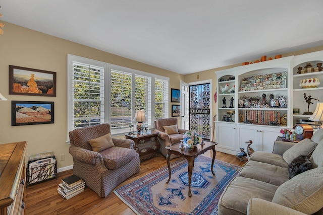 living room with wood-type flooring