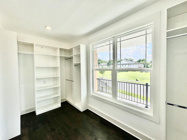 walk in closet with dark hardwood / wood-style flooring