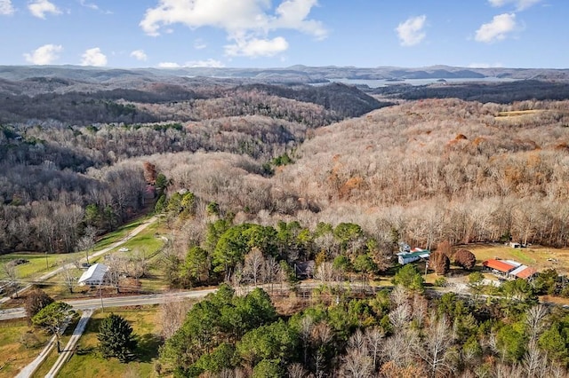 aerial view with a mountain view