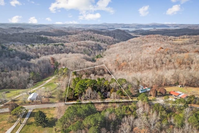 birds eye view of property with a mountain view