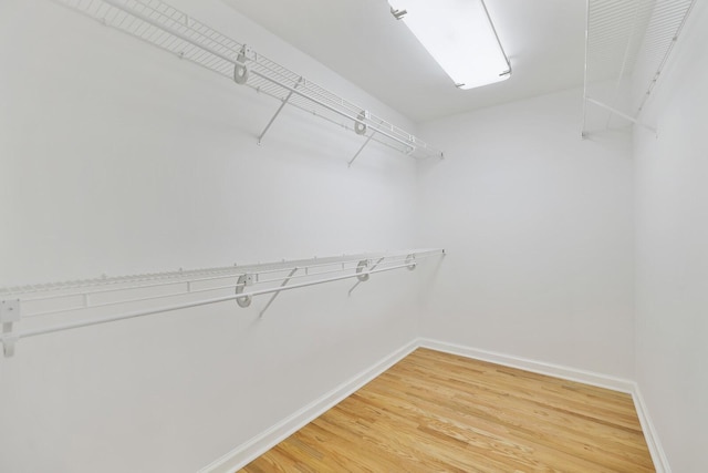 walk in closet featuring wood-type flooring