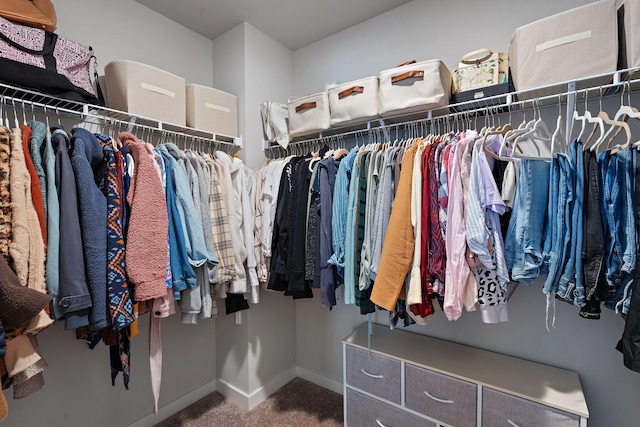 spacious closet with carpet flooring