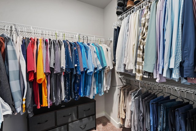 spacious closet with carpet