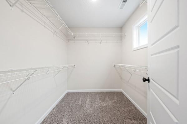 spacious closet featuring carpet flooring