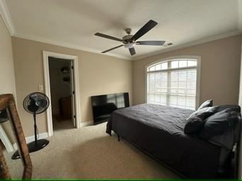 carpeted bedroom with ceiling fan and ornamental molding