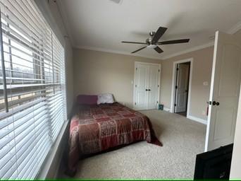 bedroom with carpet floors, ornamental molding, and ceiling fan