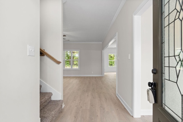 hallway with ornamental molding and light wood-type flooring