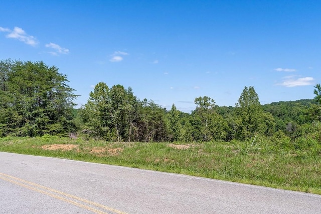 Listing photo 3 for 179 River Front Dr, Sparta TN 38583