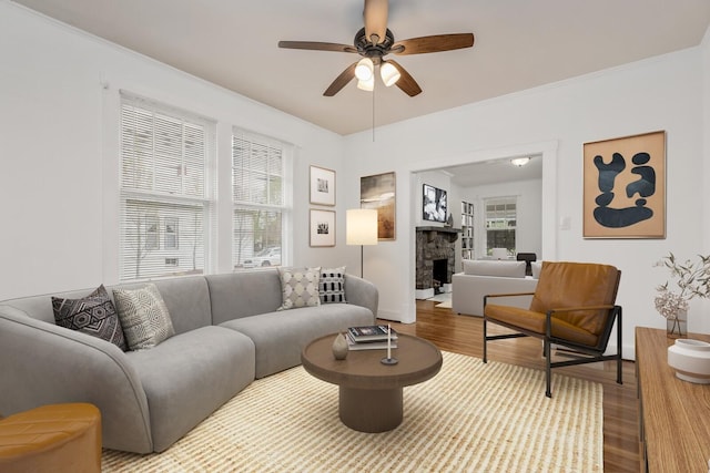 living room featuring ceiling fan, wood-type flooring, a fireplace, and ornamental molding