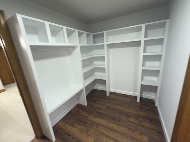 spacious closet with dark wood-type flooring