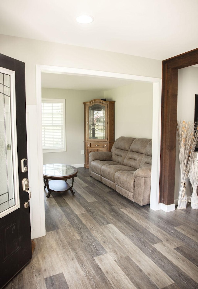 living room featuring hardwood / wood-style floors