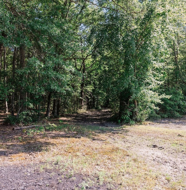 view of local wilderness