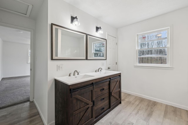 bathroom with hardwood / wood-style flooring and vanity