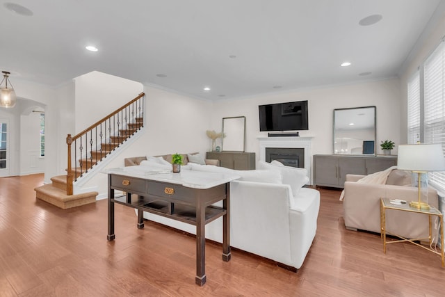 living room featuring wood-type flooring and ornamental molding