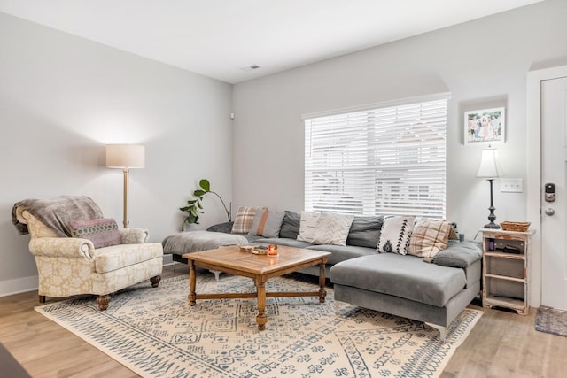 living room featuring hardwood / wood-style floors