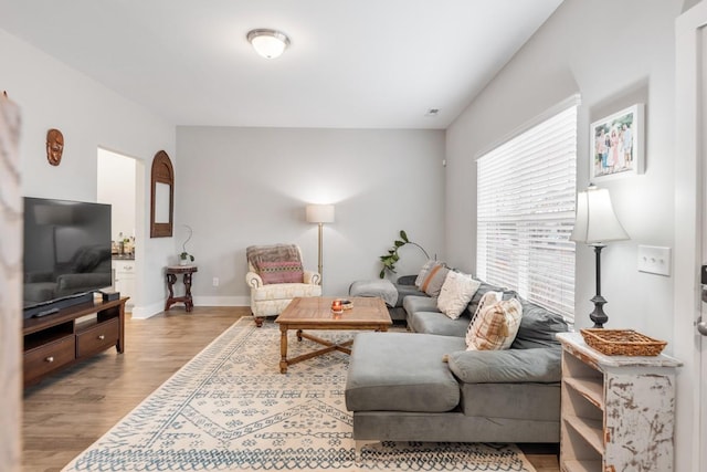 living room with light wood-type flooring