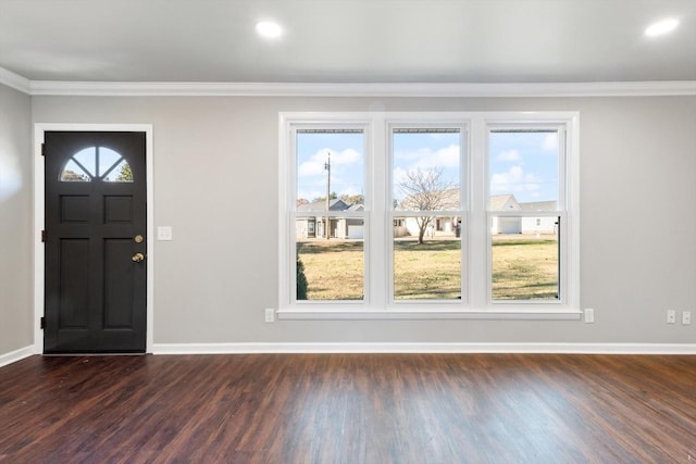 foyer featuring ornamental molding and dark hardwood / wood-style floors