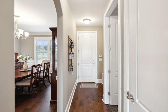 hallway with an inviting chandelier, dark hardwood / wood-style floors, and crown molding