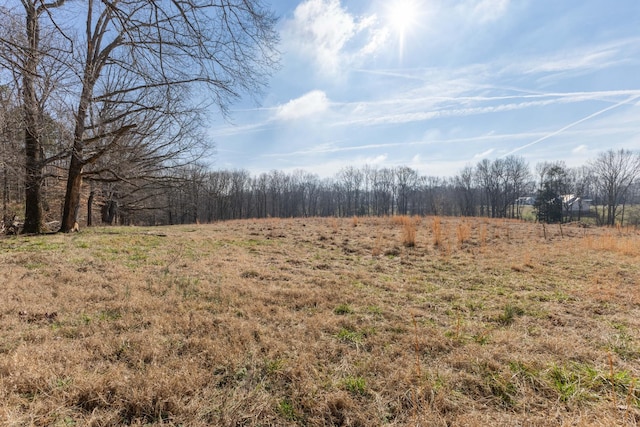 view of yard with a rural view