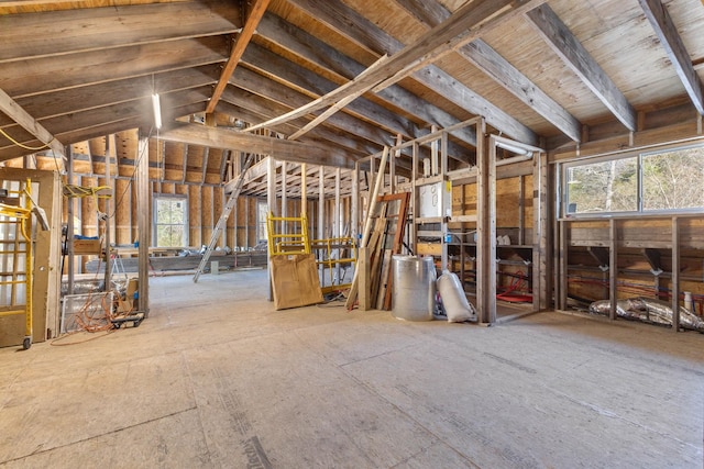 miscellaneous room featuring lofted ceiling and a healthy amount of sunlight