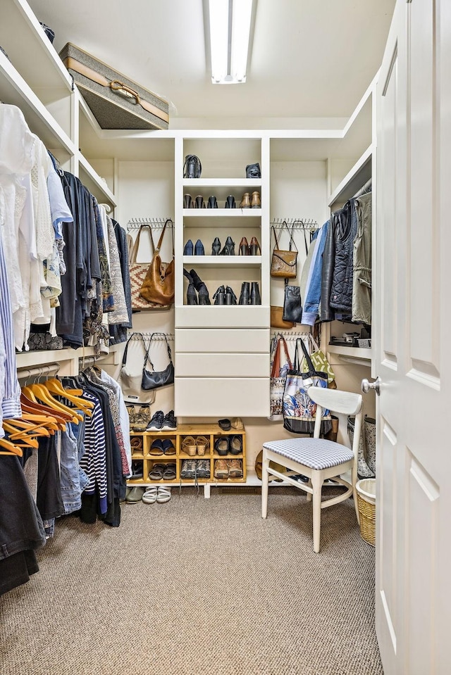 walk in closet with carpet flooring