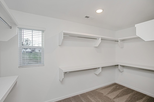 walk in closet with carpet floors