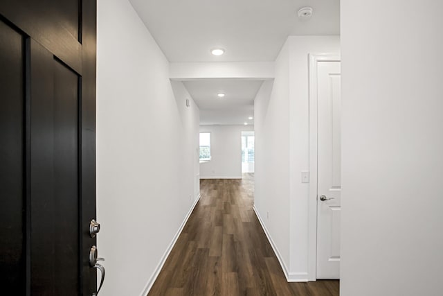 hall featuring dark wood-type flooring