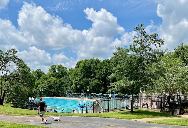 view of swimming pool