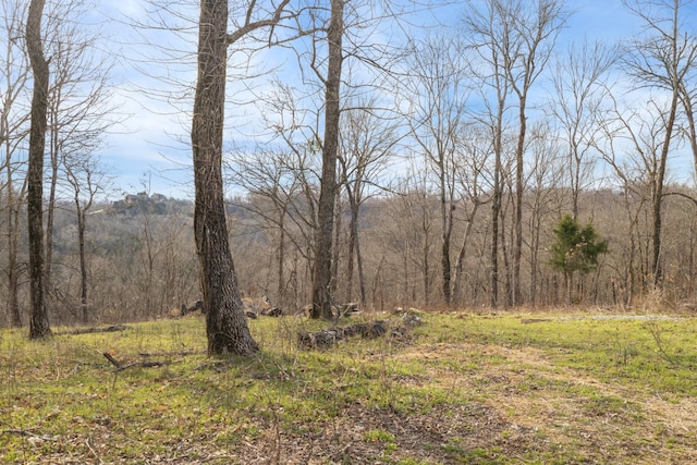 Listing photo 3 for 500 Maury Ln, Smithville TN 37166