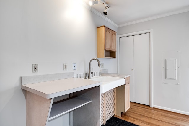 kitchen with crown molding, light wood-type flooring, light brown cabinets, track lighting, and electric panel