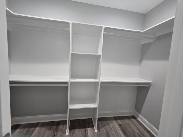 walk in closet with dark wood-type flooring