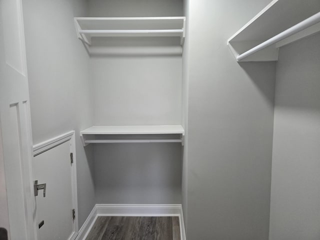 spacious closet with dark hardwood / wood-style flooring