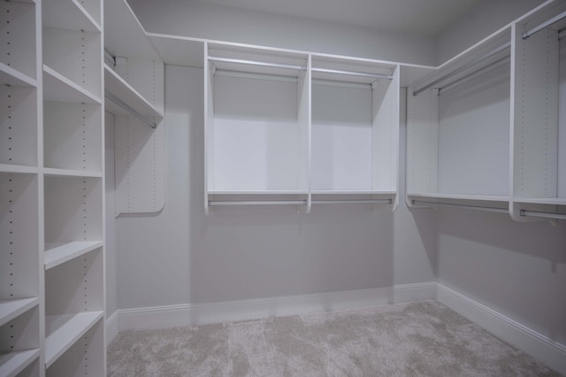 walk in closet featuring carpet flooring