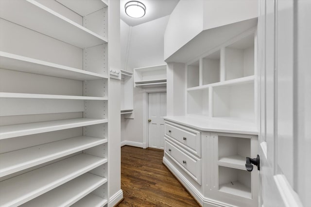 spacious closet featuring dark hardwood / wood-style floors