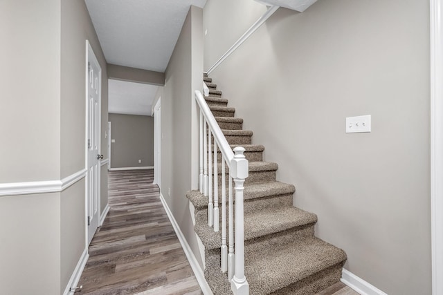 stairway featuring wood-type flooring