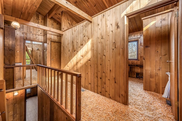 hallway with carpet flooring, wooden walls, and wooden ceiling