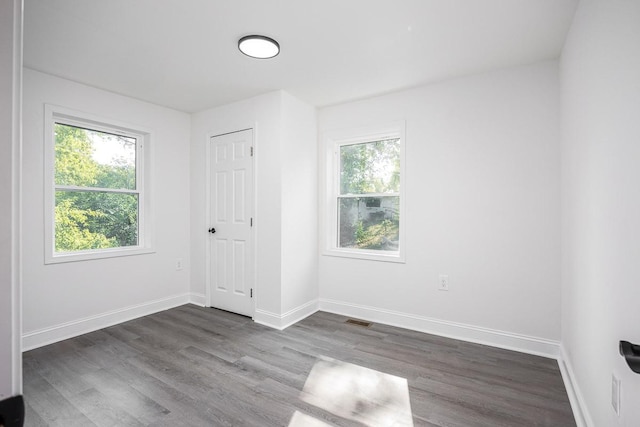 interior space with multiple windows and dark hardwood / wood-style floors