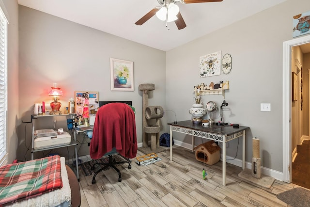 office with ceiling fan and light hardwood / wood-style floors