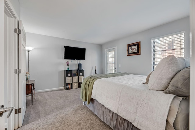 bedroom featuring carpet flooring