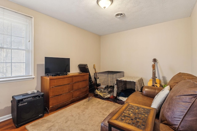 sitting room with hardwood / wood-style flooring and a textured ceiling