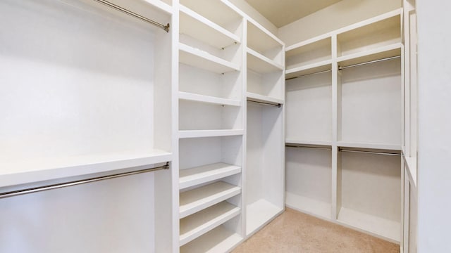 walk in closet with light colored carpet