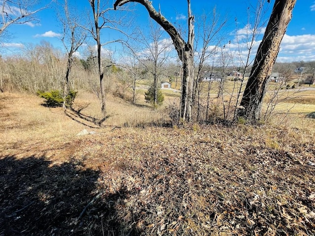 Listing photo 3 for 0 Bunker Hl, Sparta TN 38583