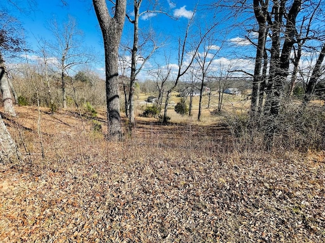 Listing photo 2 for 0 Bunker Hl, Sparta TN 38583