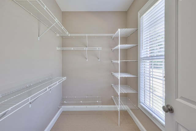 spacious closet with carpet flooring