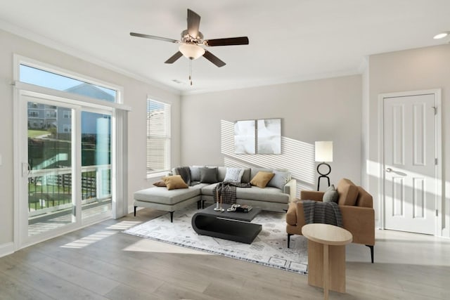 living room with crown molding, ceiling fan, and light wood-type flooring