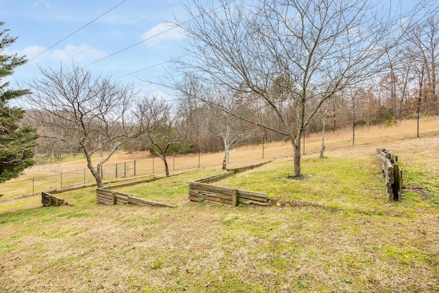 view of yard featuring a rural view