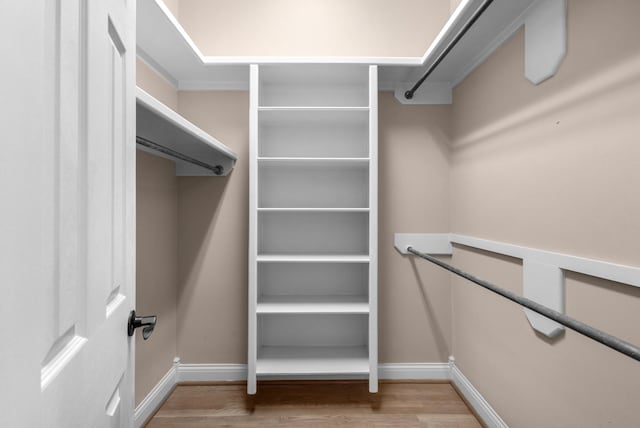 spacious closet featuring light wood finished floors