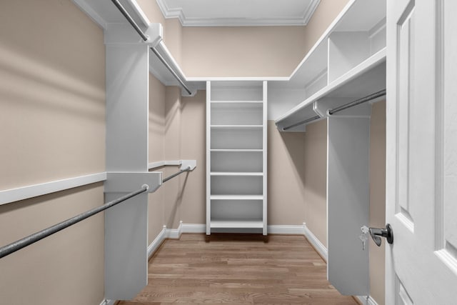 walk in closet with light wood-style floors